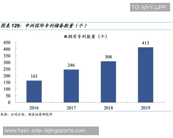 探索体育用品市场中的知名品牌及其特色产品分析